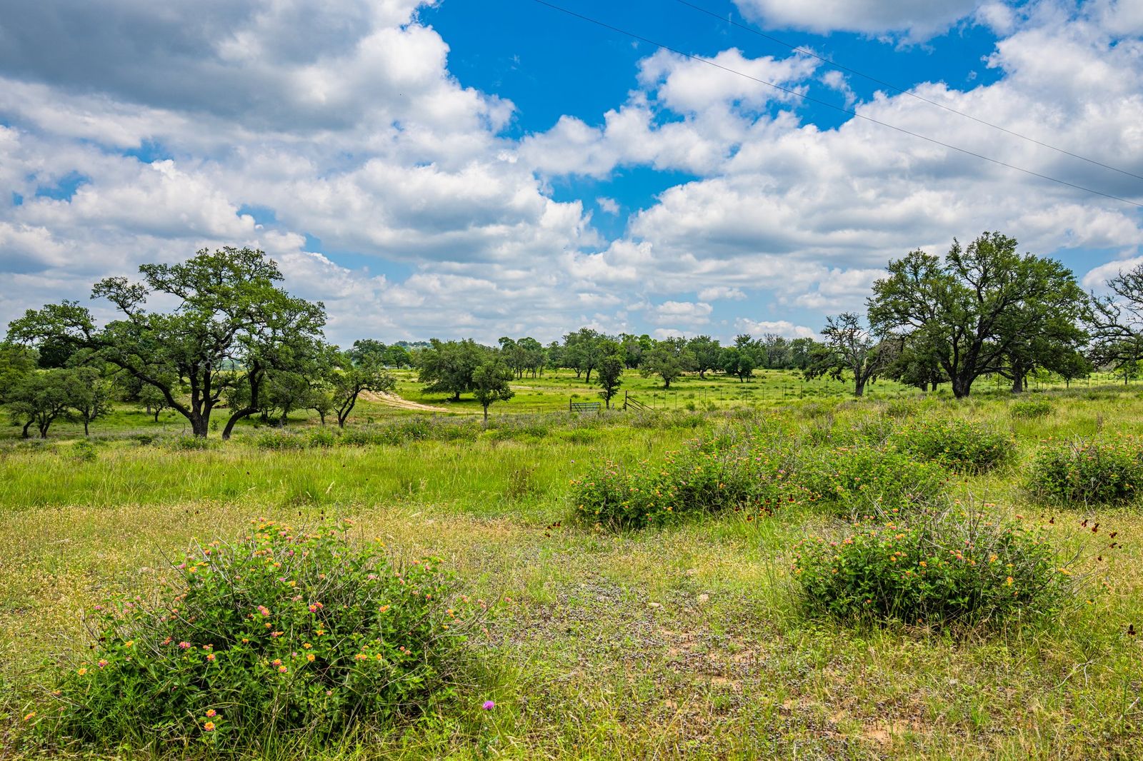 Gillespie County LRN Ranch SE of Fredericksburg Texas Ranches For Sale